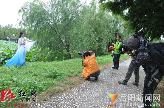 长沙人像摄影大咖岳阳采风为荷花文化节助力