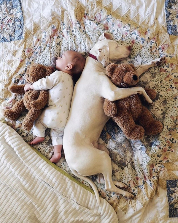 摄影师记录下午睡的宝宝和旺星人的温情瞬间