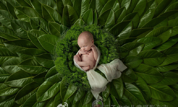 新生儿摄影作品 童话故事般的世界