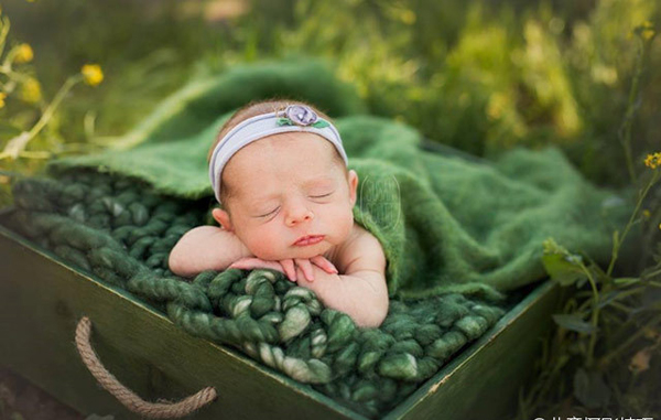 国外摄影师Susan Scott的新生儿户外摄影欣赏