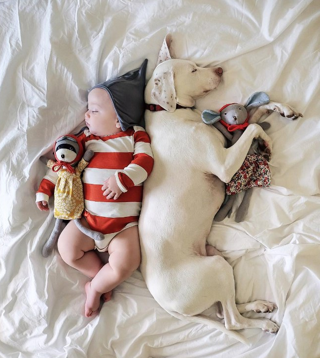 摄影师拍儿子与宠物同床共眠组照走红网络