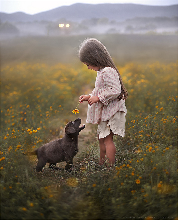 动物与孩子的纯真画面 温馨的儿童摄影