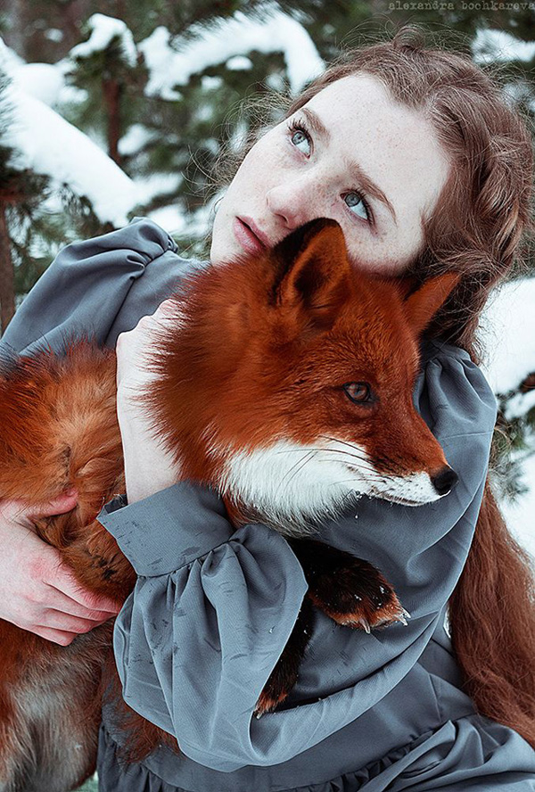 红狐与女孩 Alexandra Bochkareva镜头里的童话世界