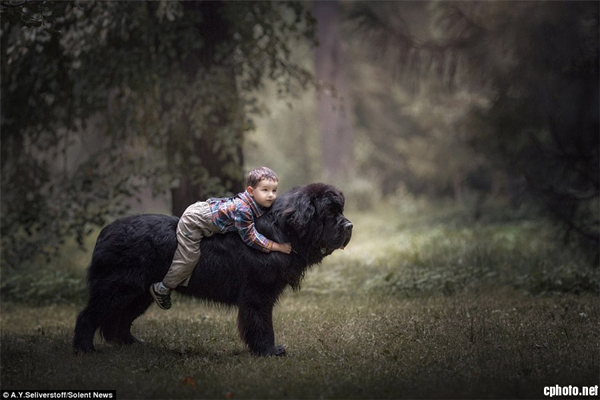 摄影师镜头下亲密温馨的摄影作品 萌娃与大狗