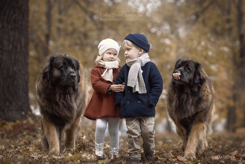 狗和小孩在一起的图片图片