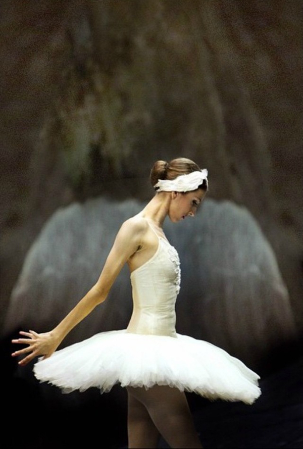 芭蕾舞者 马林斯基剧院的天鹅们