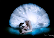 最新影楼资讯新闻-芭蕾舞者 马林斯基剧院的天鹅们