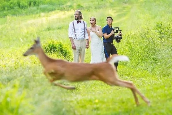 经常蹭拍婚礼的“摄影师们” 请注意了！