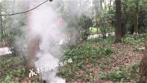 摄影师为追求婚纱照效果 在植物园燃放硫磺烟饼