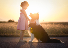 最新影楼资讯新闻-清新唯美的儿童摄影 儿童与宠物的纯真友谊