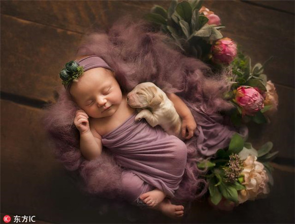摄影师为婴儿与动物的好友拍写真 暖化人心