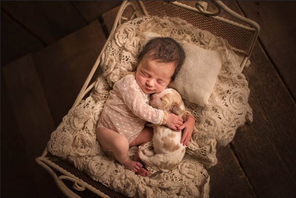 治愈系摄影 婴儿与宠物的紧密守护