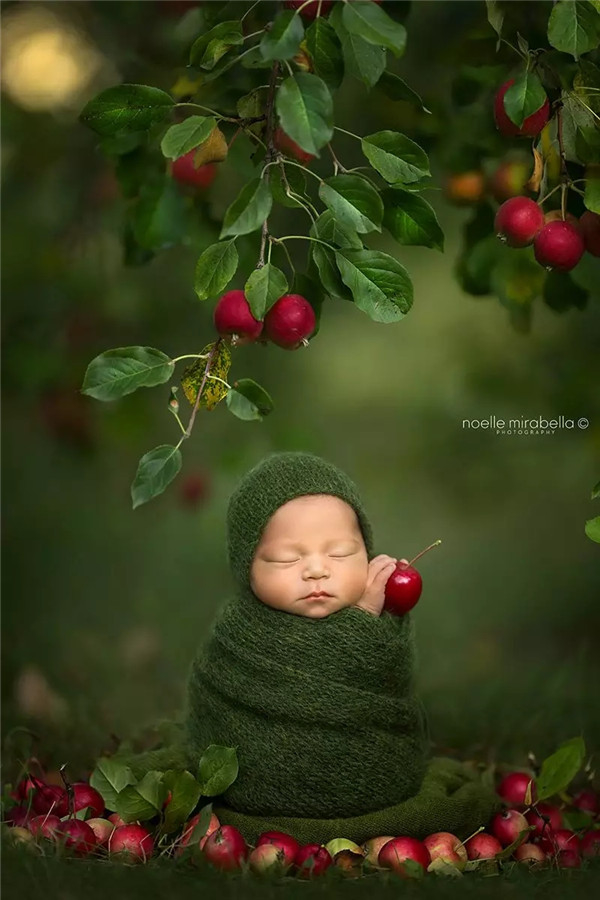 一组意境的苹果主题的婴儿摄影，很美！