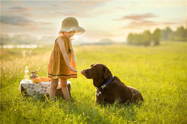 摄影师湘楠作品：孩子与狗狗的美好友谊