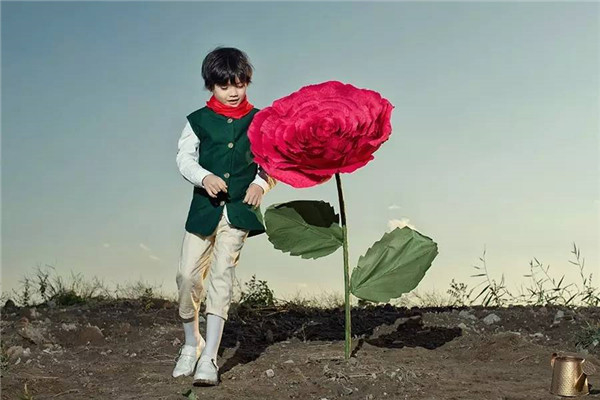 摄影教程：小王子和他的玫瑰花