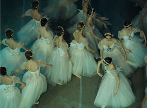 最新影楼资讯新闻-舞动的芭蕾舞者 身姿曼妙的少女们