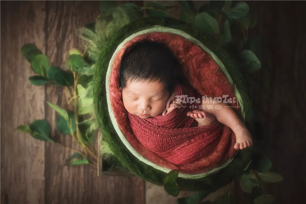 新生儿摄影的创新：与小鸟天堂一席谈