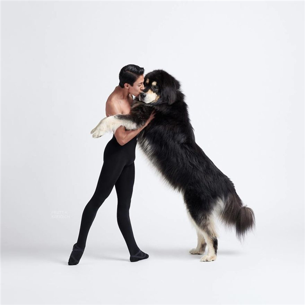 与爱犬共舞 可爱的芭蕾舞者搭档