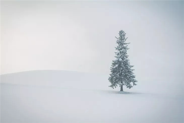 摄影师镜头下，北海道雪下初恋般的人像