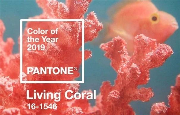珊瑚橘已“过气”PANTONE经典蓝为2020代表色