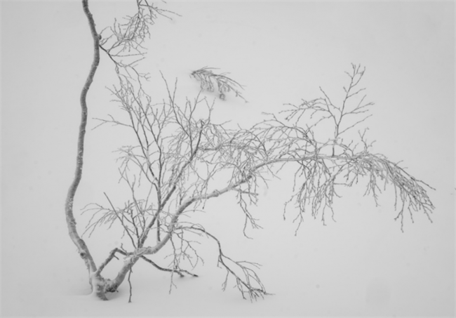 风雪画境 索尼微单™Alpha 7R IV 行摄北海道