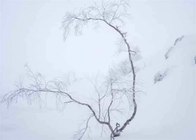 风雪画境 索尼微单™Alpha 7R IV 行摄北海道