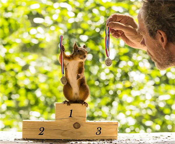 摄影新鲜事：瑞典摄影师以松鼠为主角拍摄奥运主题照 